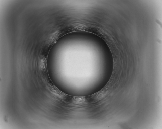 X0000096940768200802081206