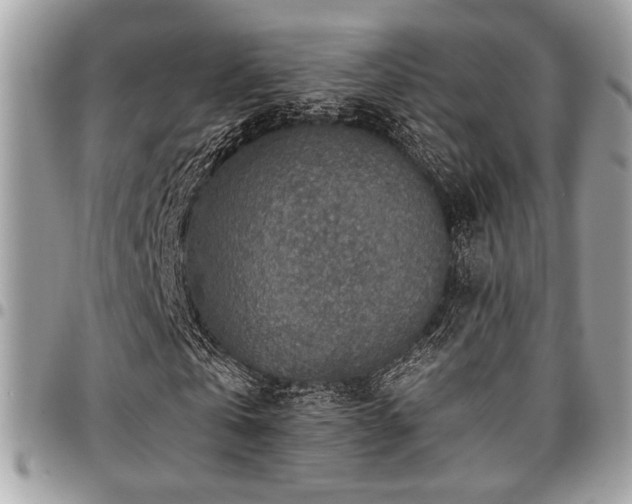 X0000096940769200802081205