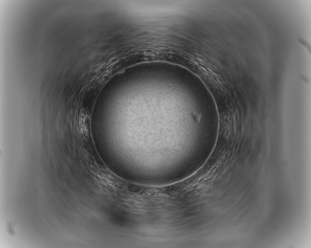 X0000096940770200802081205