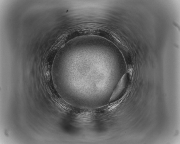 X0000096940771200802081205