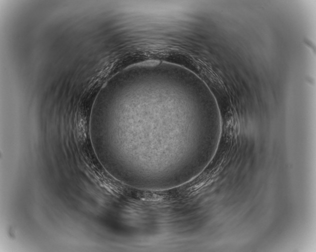 X0000096940772200802081205