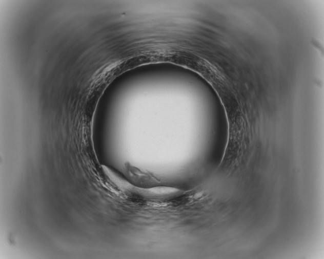X0000096940773200802081205