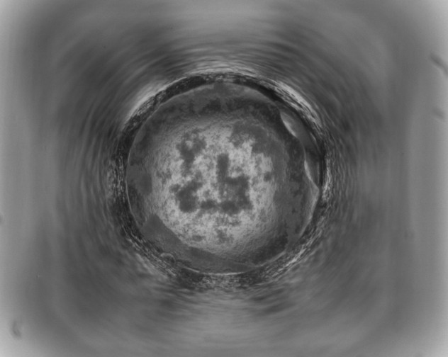 X0000096940775200802081205