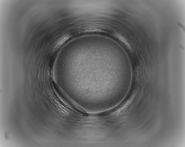 X0000096940777200802081205