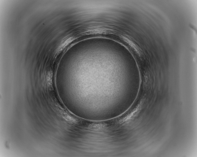 X0000096940778200802081205