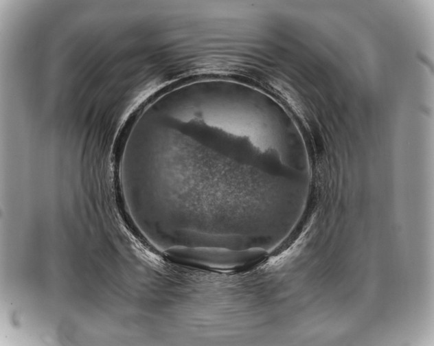 X0000096940779200802081205