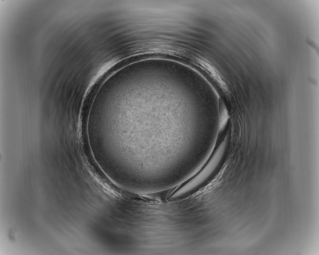 X0000096940780200802081205