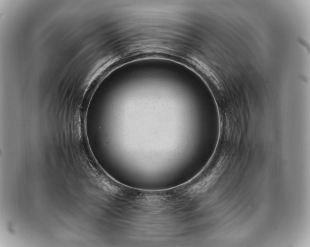 X0000096940782200802081205