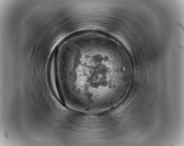 X0000096940783200802081205