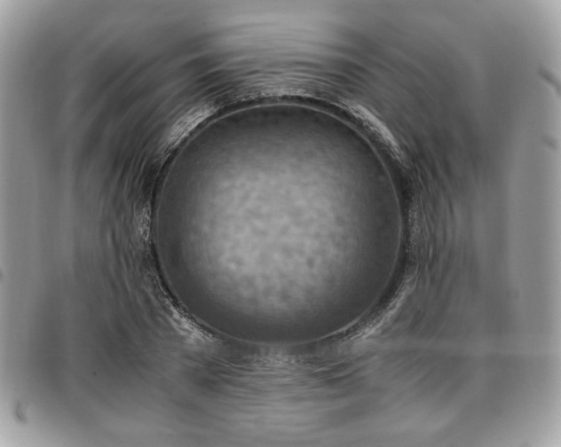 X0000096940785200802081205