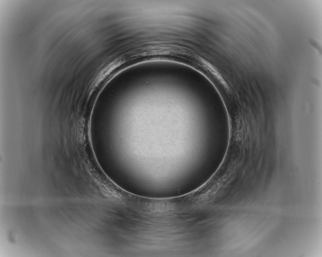 X0000096940786200802081205