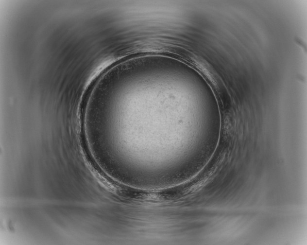 X0000096940787200802081205
