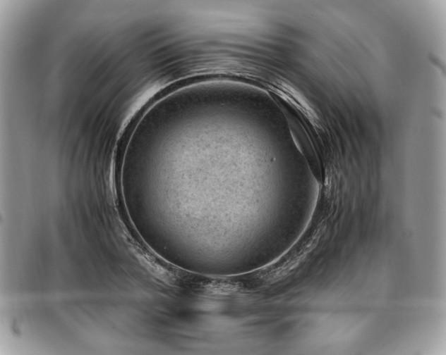 X0000096940788200802081205