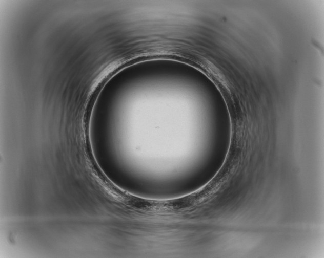 X0000096940789200802081205