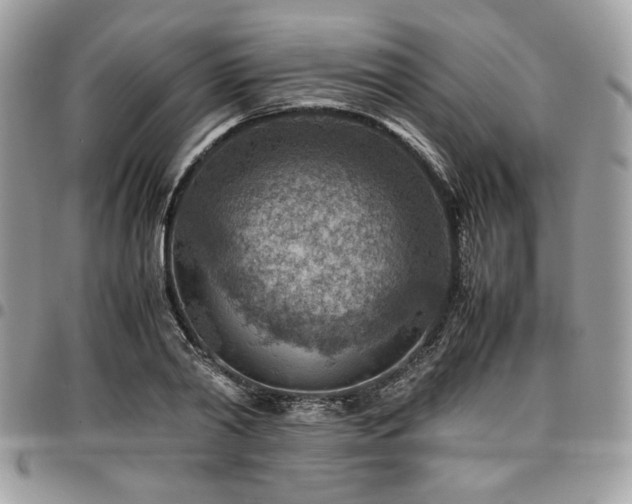X0000096940790200802081205