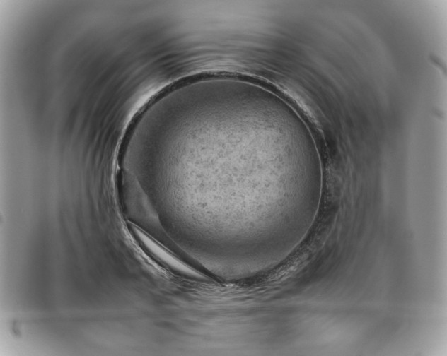 X0000096940791200802081205