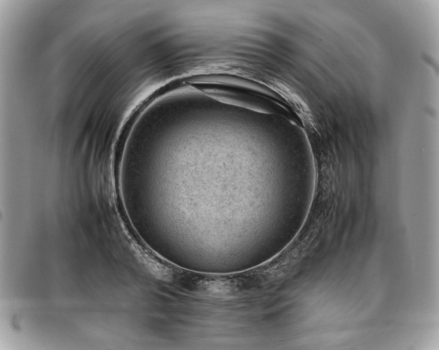 X0000096940792200802081205