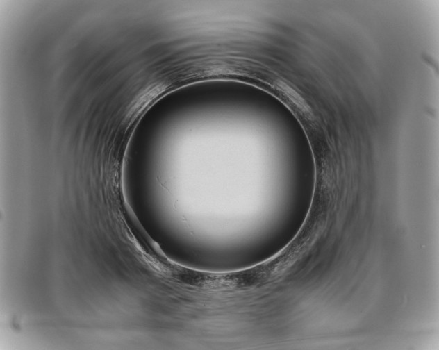 X0000096940793200802081205