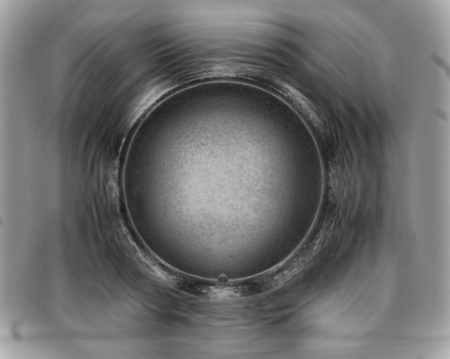 X0000096940794200802081205