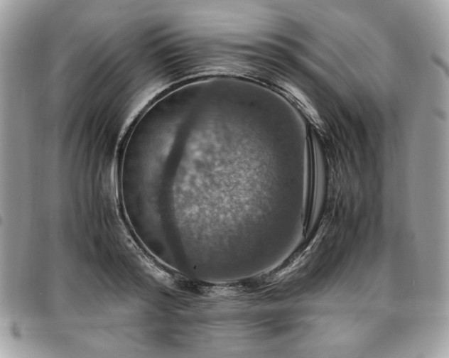 X0000096940796200802081205