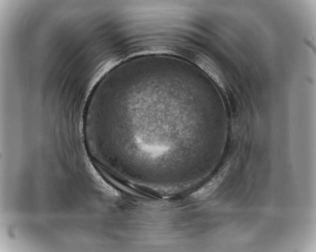 X0000096940797200802081205