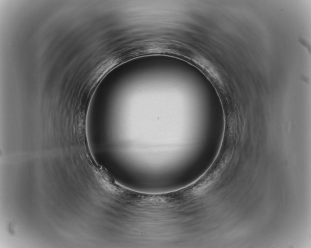 X0000096940801200802081205