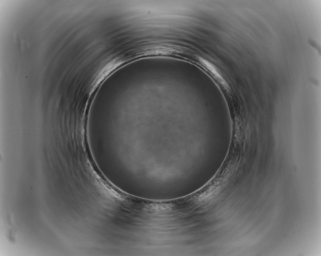 X0000096940802200802081205