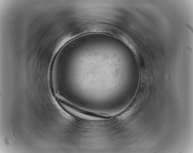 X0000096940803200802081205