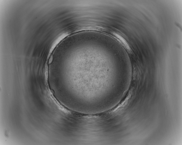X0000096940804200802081205