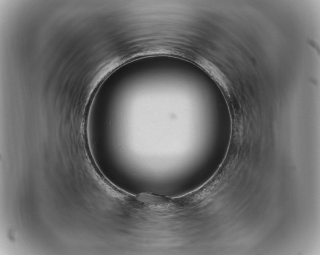 X0000096940805200802081205