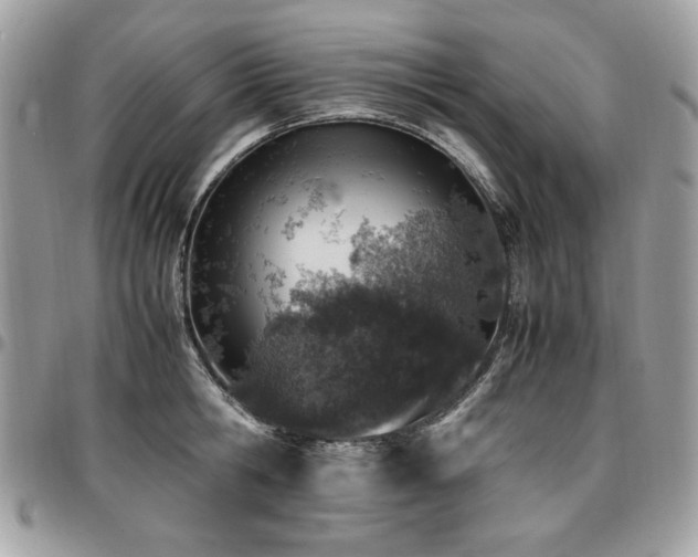 X0000096940806200802081205