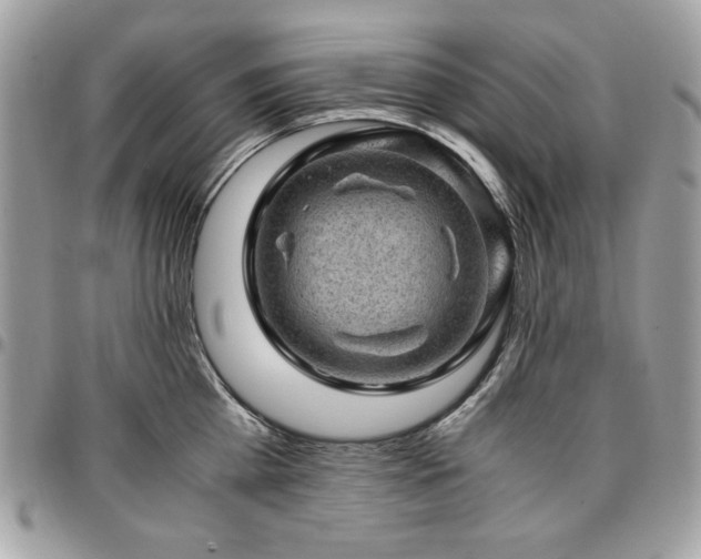 X0000096940809200802081204