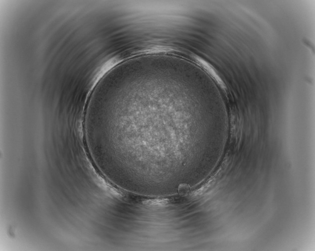 X0000096940810200802081204
