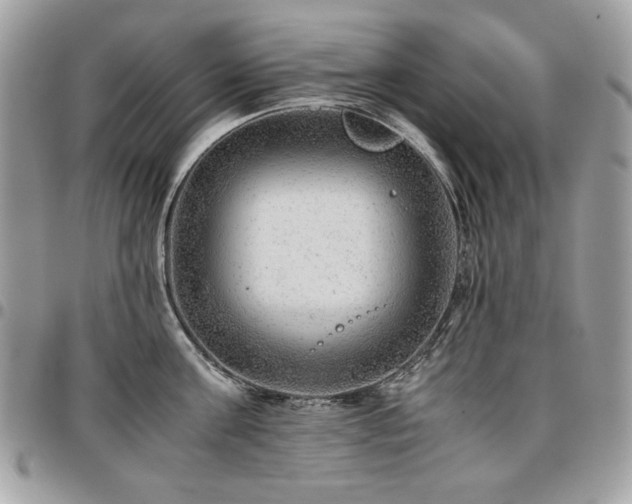 X0000096940811200802081204
