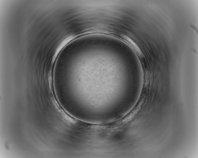 X0000096940812200802081204