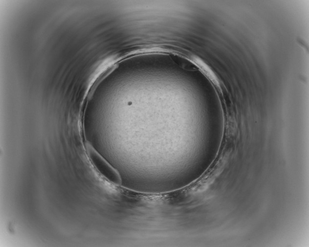 X0000096940813200802081204