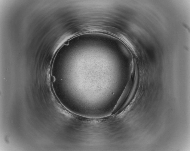 X0000096940814200802081204
