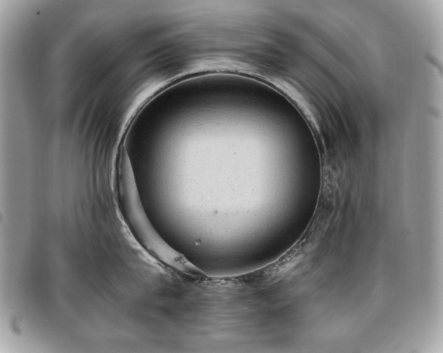 X0000096940815200802081204