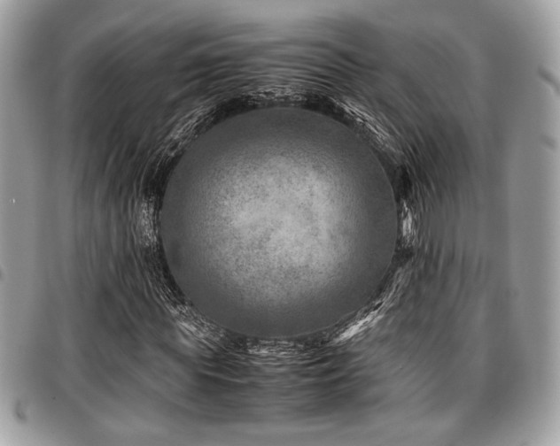 X0000096940819200802081204