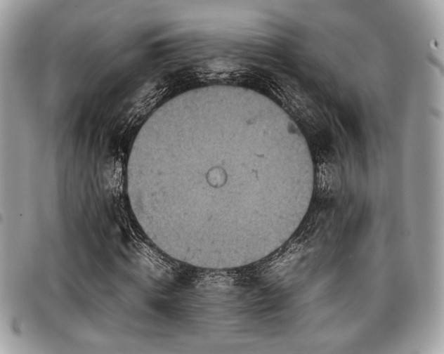 X0000096940820200802081204