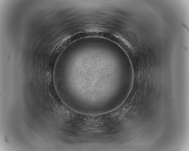 X0000096940821200802081204