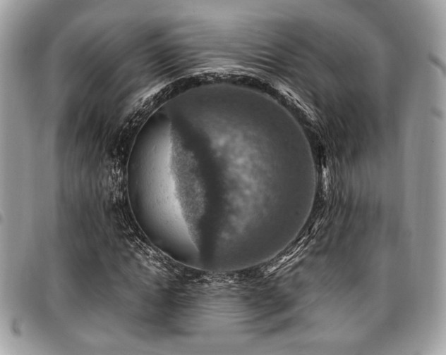 X0000096940822200802081204