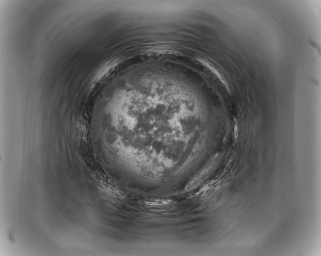 X0000096940823200802081204