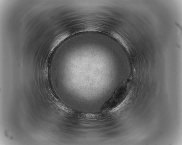 X0000096940827200802081204