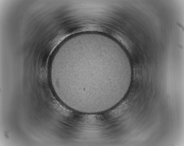 X0000096940828200802081204
