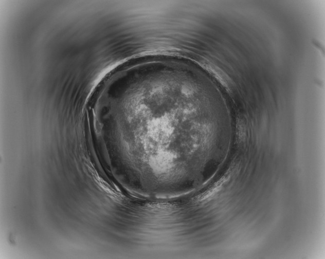 X0000096940830200802081204