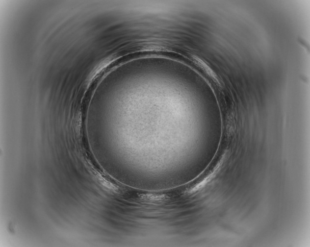 X0000096940831200802081204