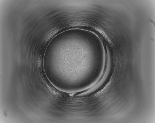 X0000096940833200802081204