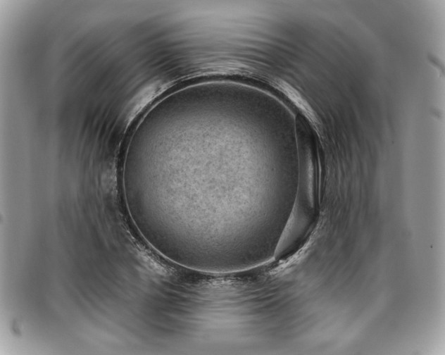 X0000096940834200802081204