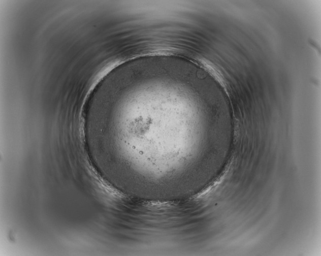 X0000096940835200802081204